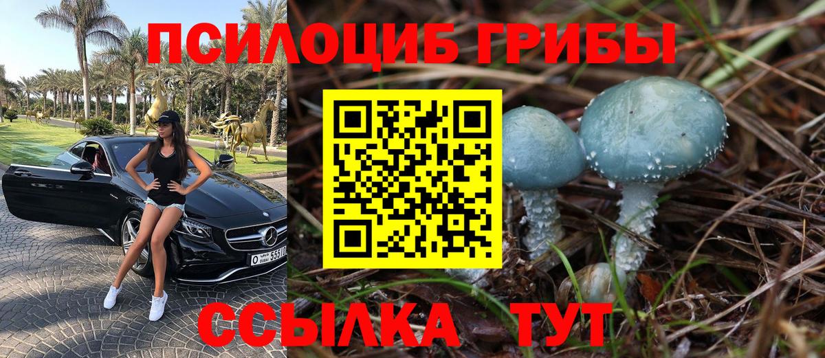 Великий Новгород  Галлюциногенные грибы GOLDEN TEACHER  Вход с VPN 
